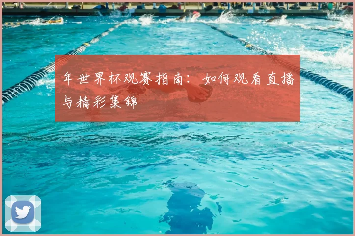 年世界杯观赛指南：如何观看直播与精彩集锦